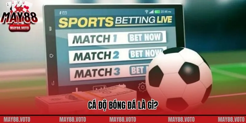 Hiểu Đúng Cá Độ Bóng Đá Là Gì Để Tham Gia An Toàn Hợp Pháp