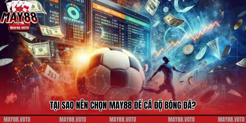 Tại sao nên chọn May88 để cá độ bóng đá?