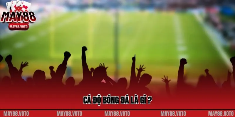 Thắc mắc về có nên từ bỏ cá độ bóng đá tại May88