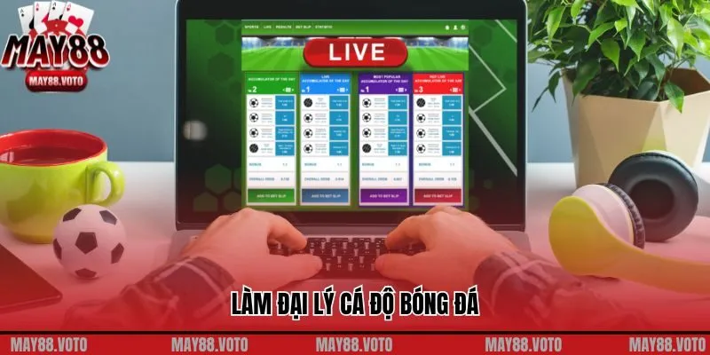 Hướng Dẫn Làm Đại Lý Cá Độ Bóng Đá Tại Nhà Cái May88