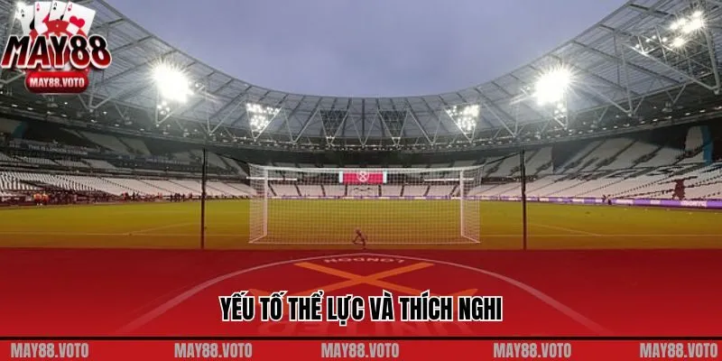 Yếu tố thể lực và thích nghi