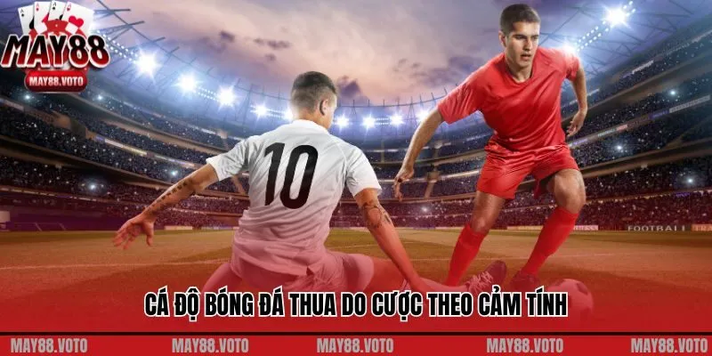 Cá độ bóng đá thua do cược theo cảm tính