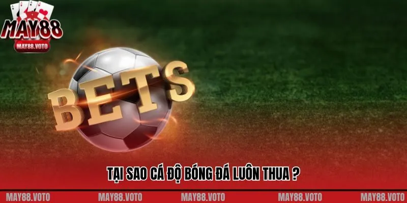 May88 Giải Đáp Lý Do Tại Sao Cá Độ Bóng Đá Luôn Thua Tại Nhà Cái 