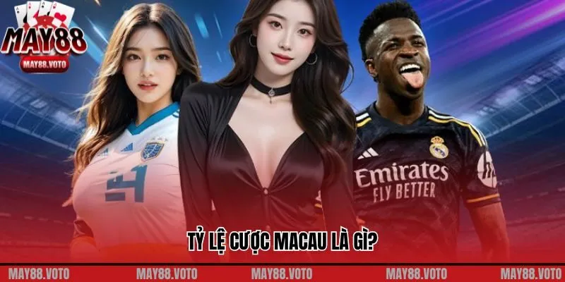 Tỷ Lệ Cược Macau Là Gì? Khám Phá Bí Ẩn Đằng Sau Loại Kèo Này