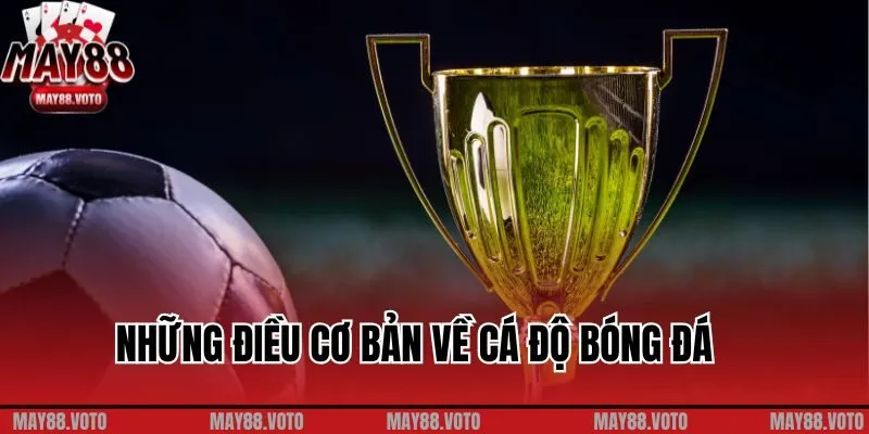 Những điều cơ bản bạn cần biết về cá độ bóng đá