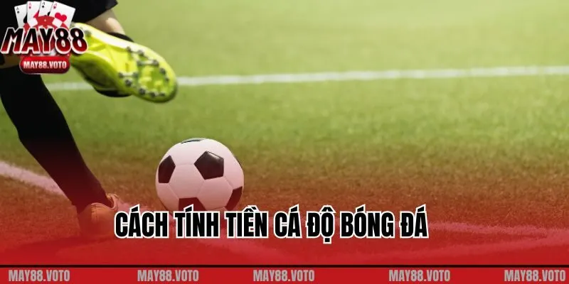 Cách Tính Tiền Cá Độ Bóng Đá Hiệu Quả Cho Người Chơi