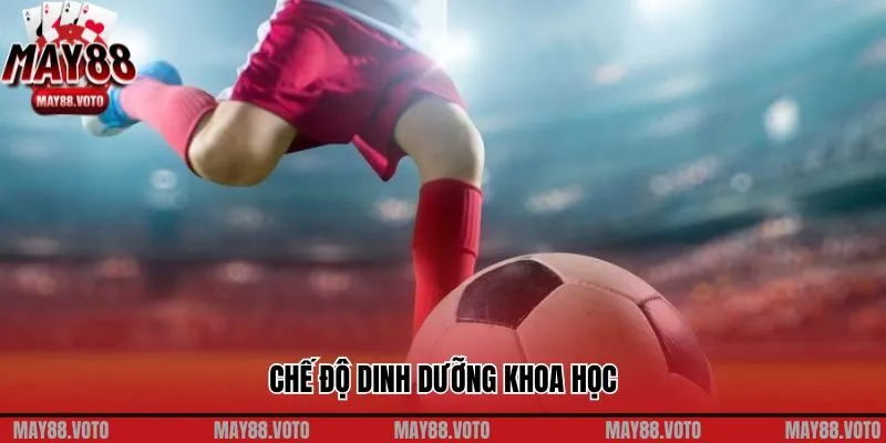 Chế độ dinh dưỡng khoa học