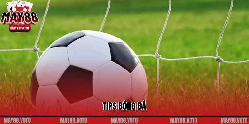 Tips Bóng Đá Giúp Bạn Trở Thành Cao Thủ Trên Sân Cỏ 